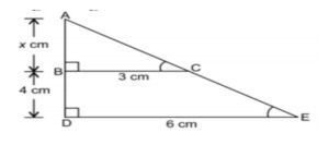 Scale drawing of an object is the same shape at the object but a different size. CBSE PYQ 2023 10th Board
