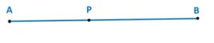 The coordinates of the end points of the line segment AB CBSE 2025 PYQs 