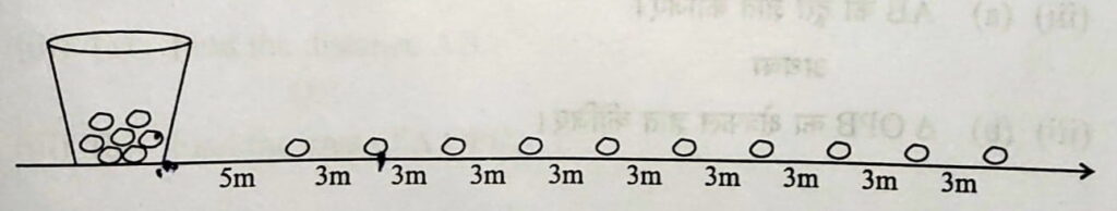 In a potato race, a bucket is placed at the starting point, which is 5 m from the first potato.