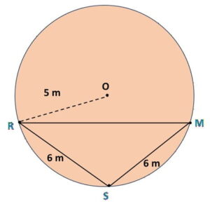 Three girls, Reshma, Salma and Mandip, are playing a game by standing on a circle of radius 5m drawn in a park.