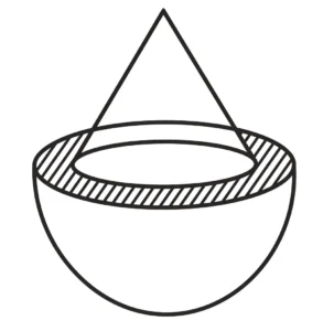 27 b. The internal and external